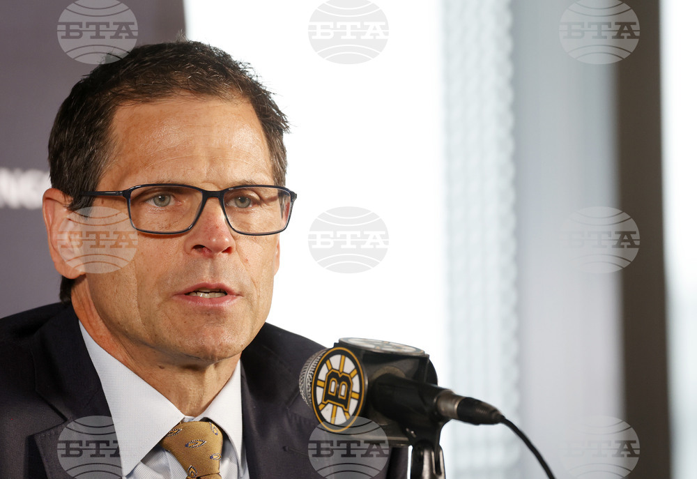 Bruins Sturm Hockey