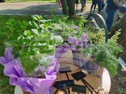 Ямбол - „Градина на вкусовете” - откриване