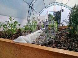 Ямбол - „Градина на вкусовете” - откриване