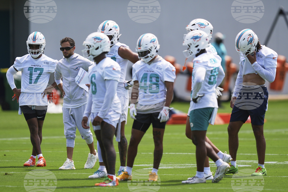 Dolphins Football
