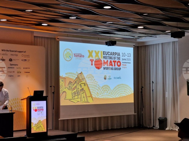 Учените работят за справяне с отразяването на екстремните температури, сушата и наводненията върху добивите, каза доц. Иванка Тринговска