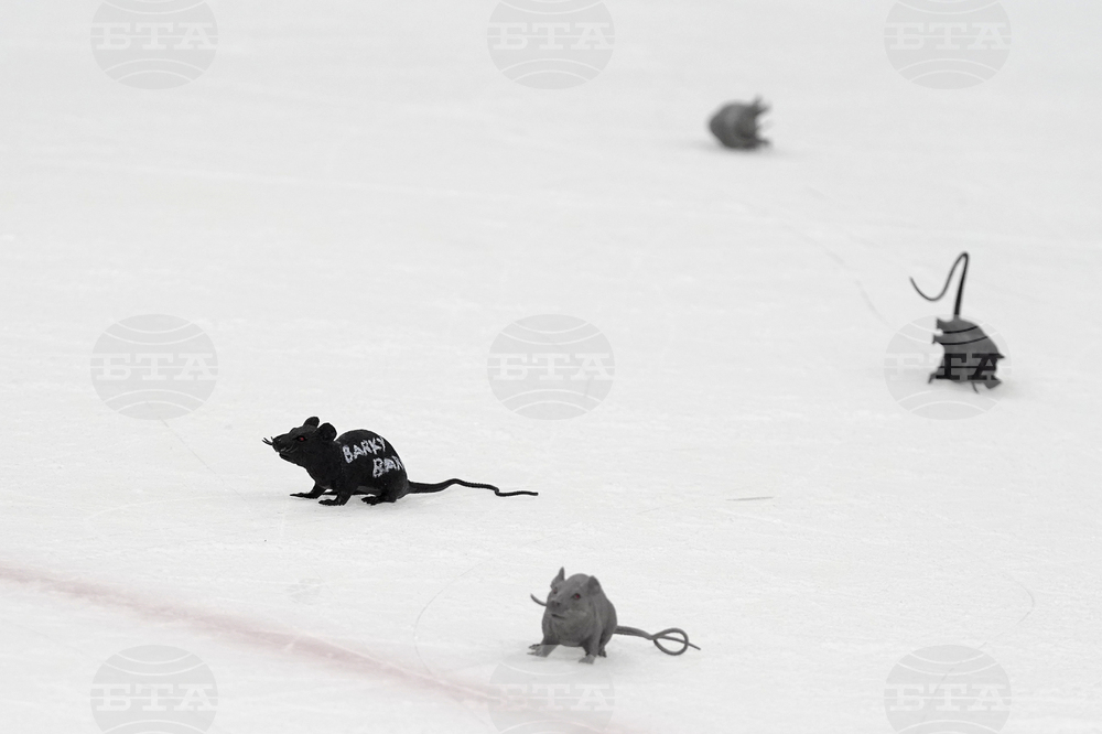 Stanley Cup Panthers Toy Rats Hockey