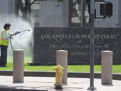 Immigration Rads Los Angeles