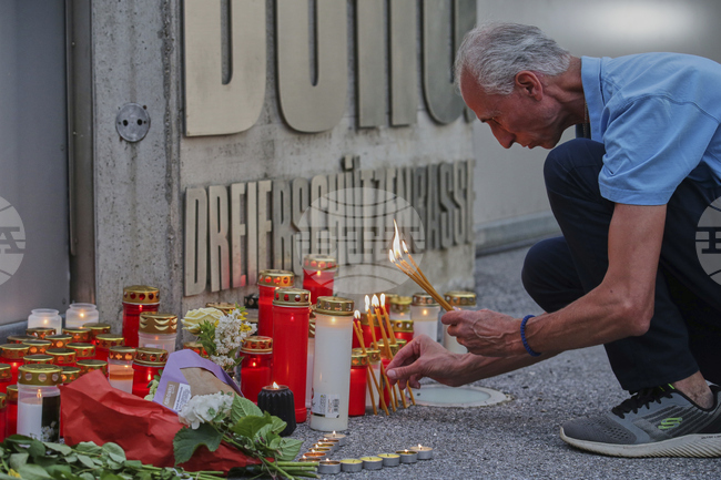 Правителствената коалиция в Австрия обсъжда по-строг закон за притежание на оръжие 