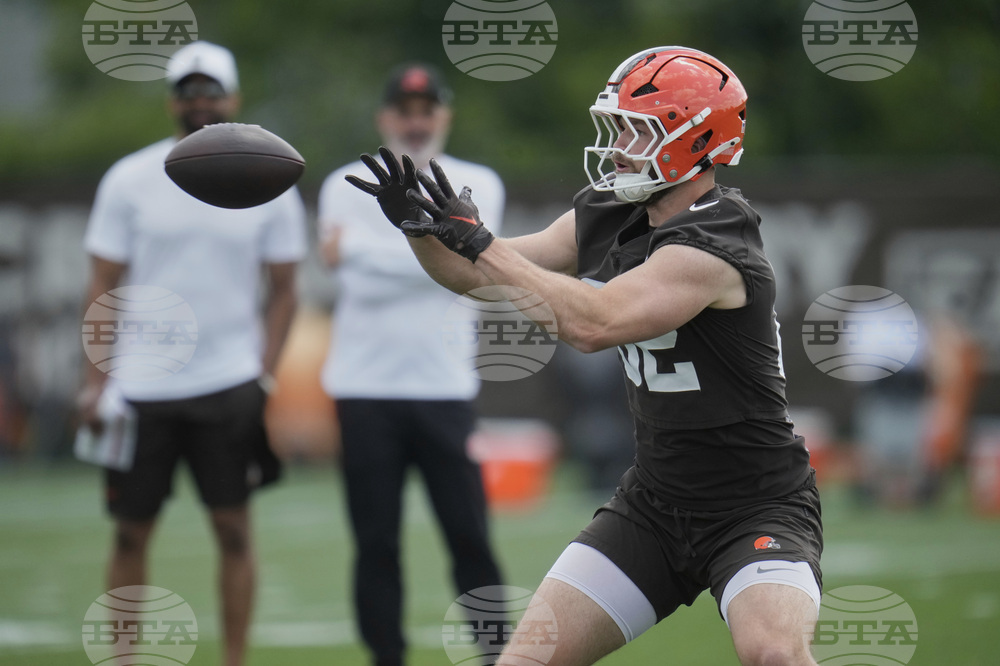 Browns Football
