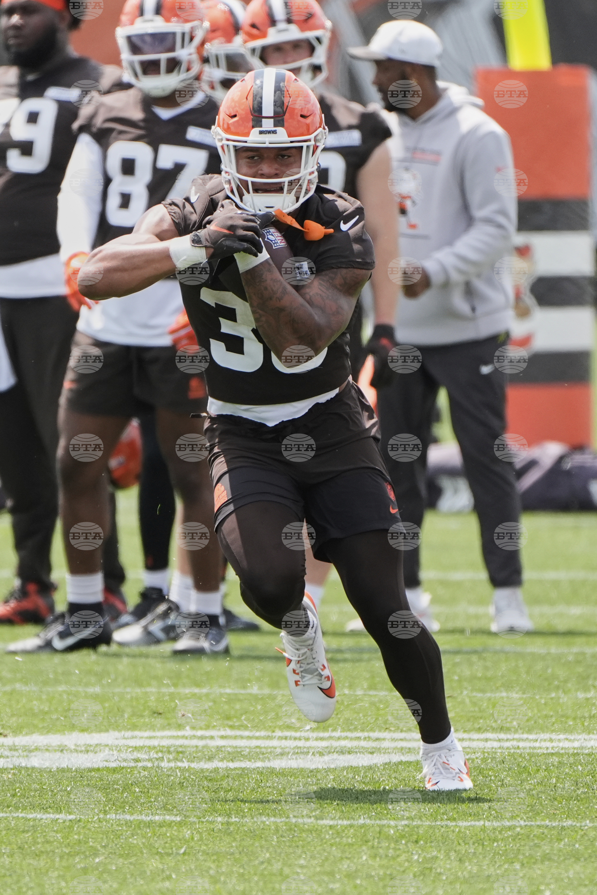 Browns Football
