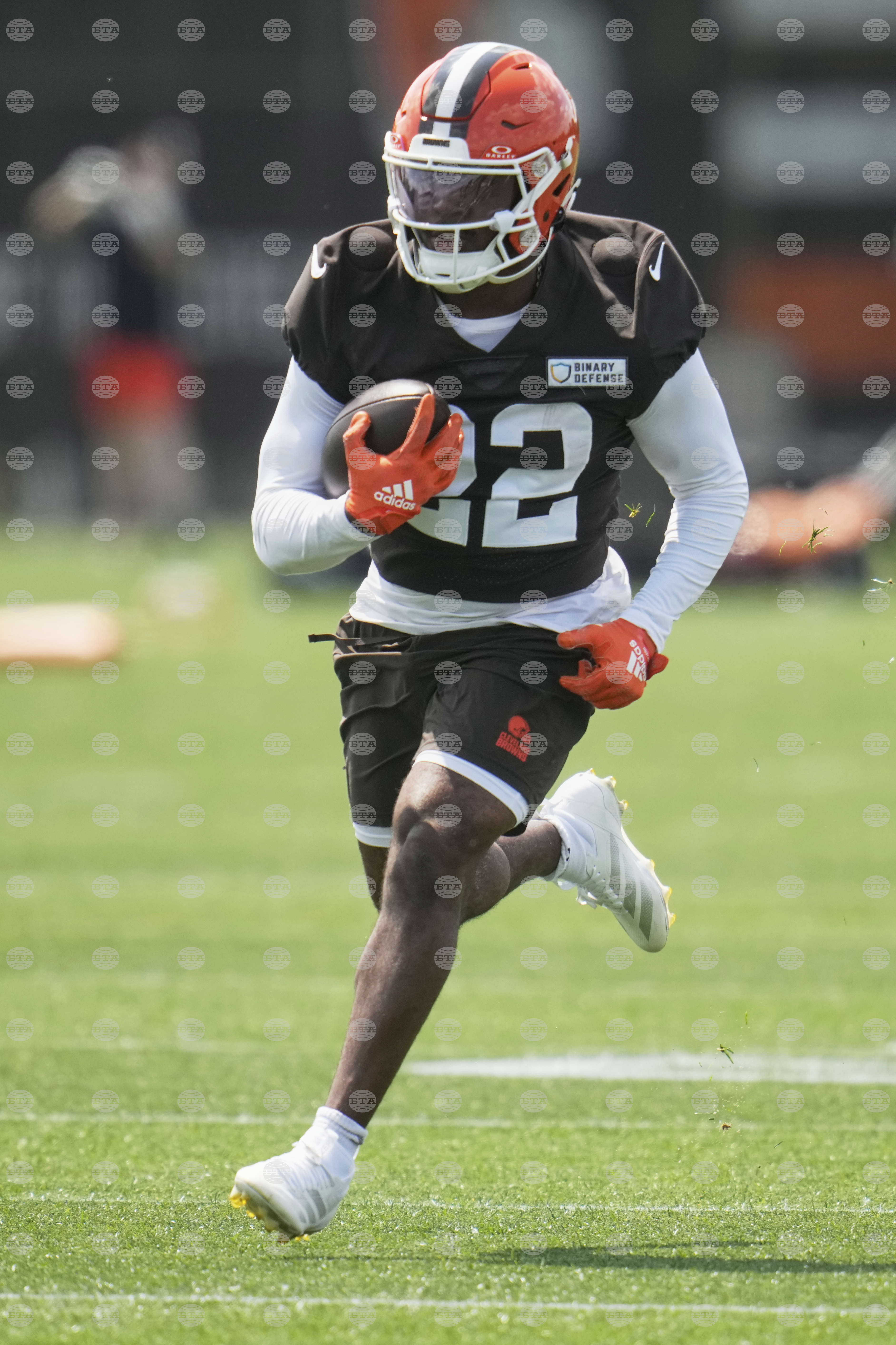 Browns Football