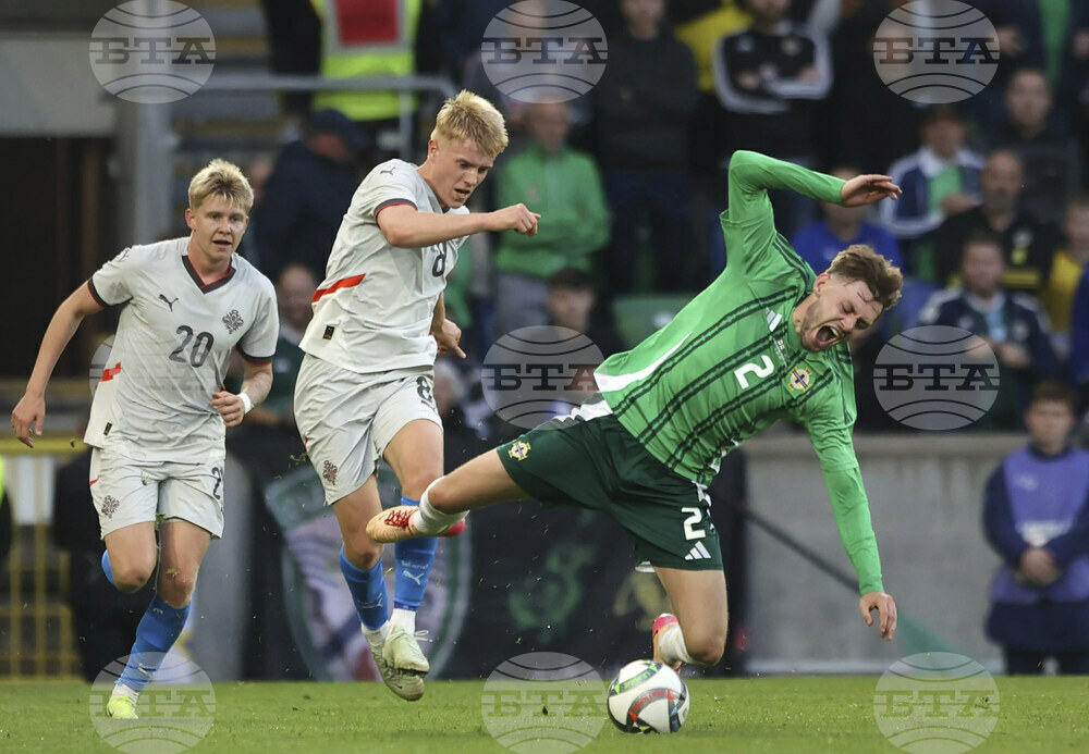 Northern Ireland Iceland Soccer