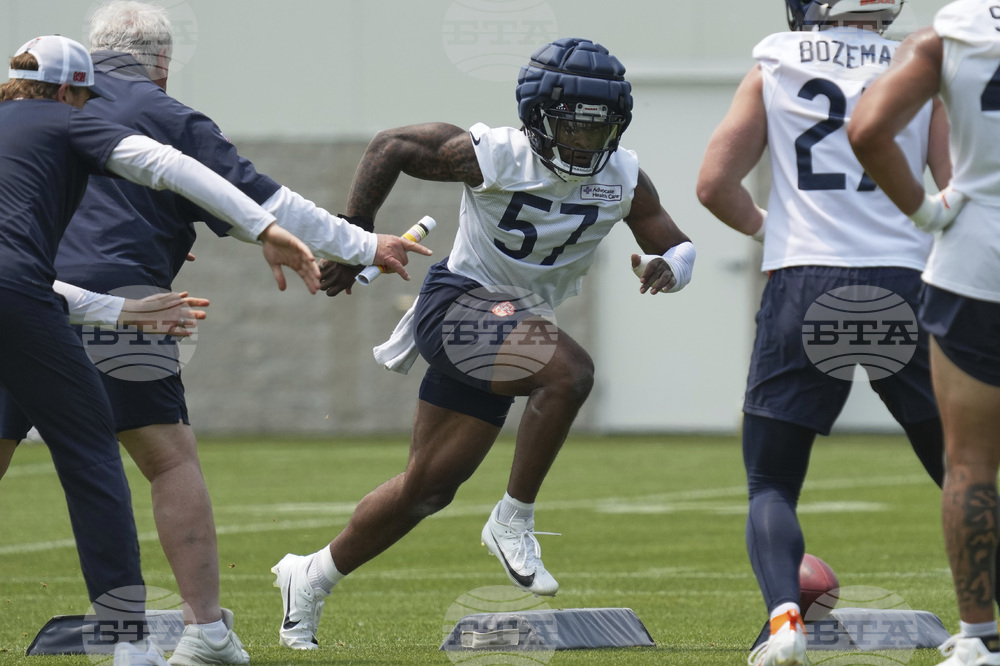 Bears Football