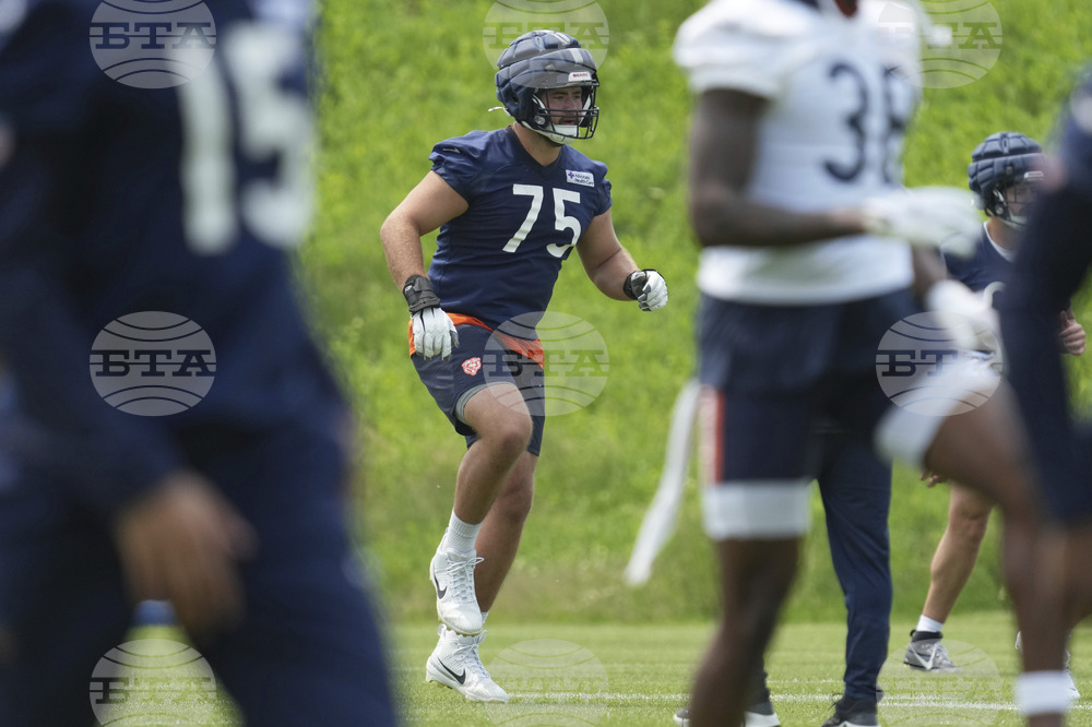 Bears Football