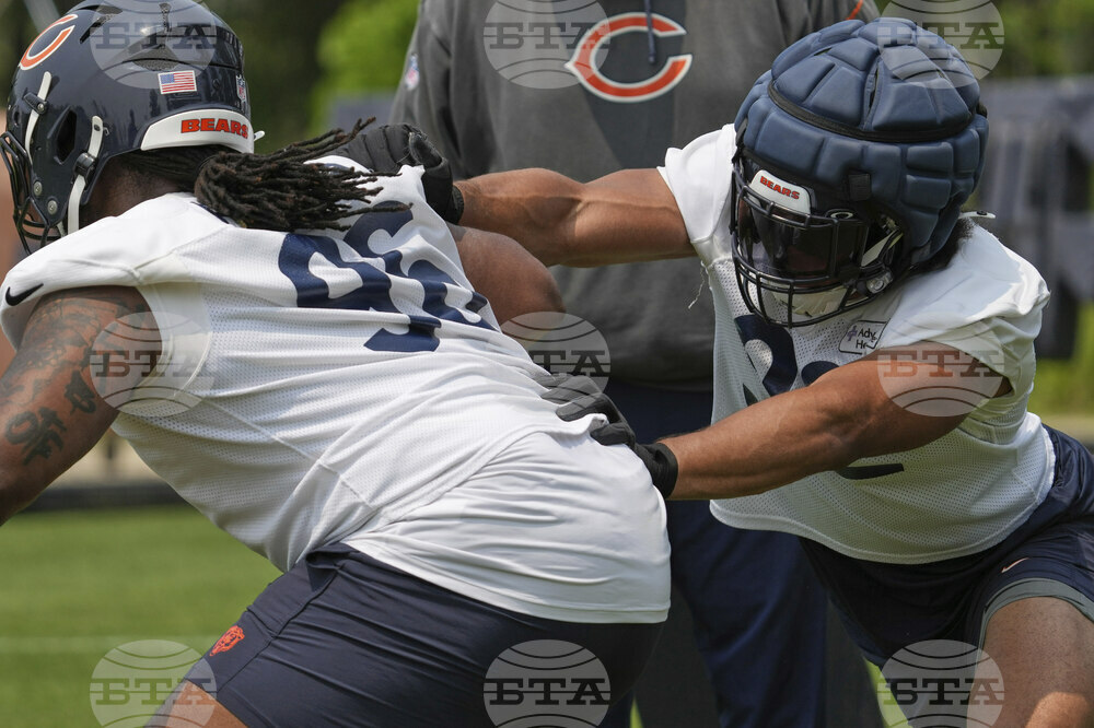 Bears Football