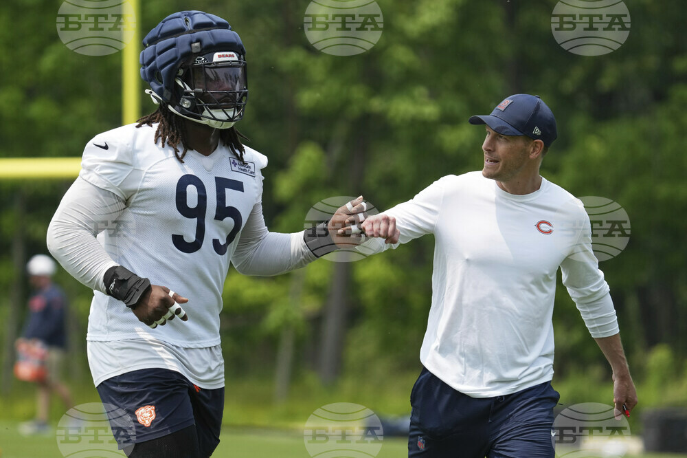 Bears Football