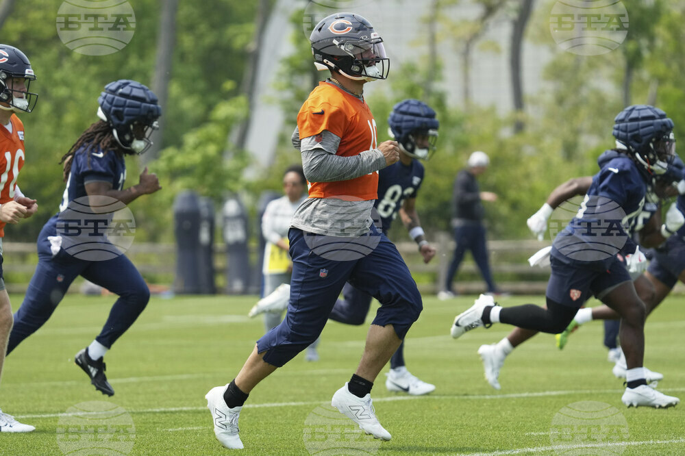 Bears Football