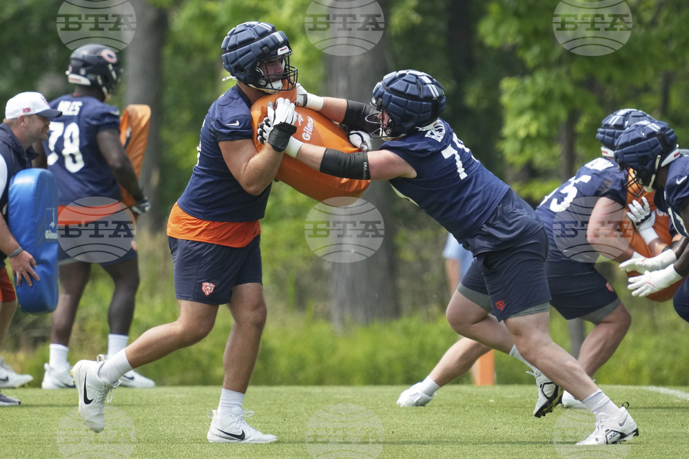 Bears Football