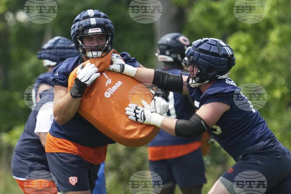 Bears Football