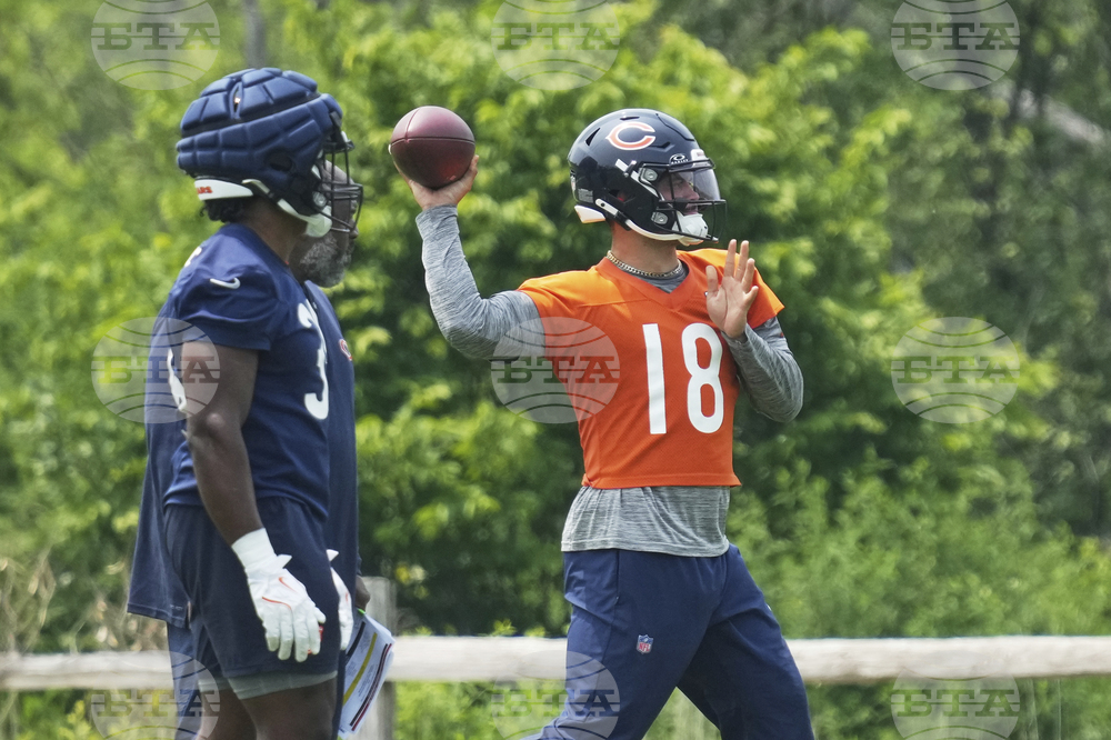 Bears Football
