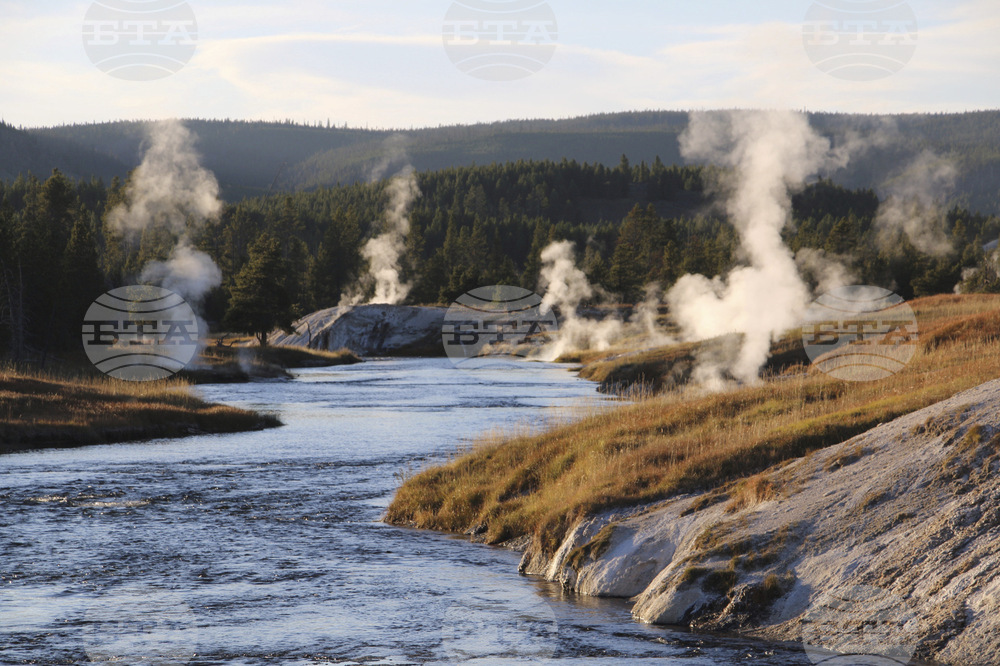 Yellowstone Bison Attack