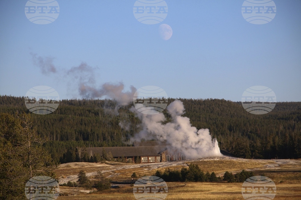 Yellowstone Bison Attack