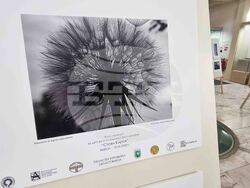 Ямбол - конкурс - фотография - награждаване