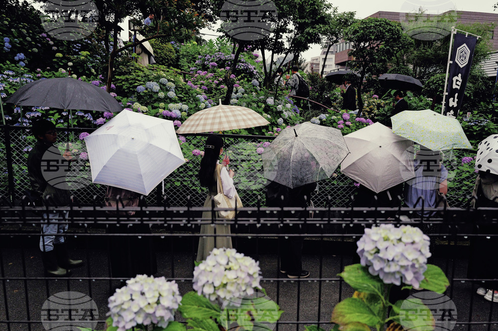 Japan Daily Life