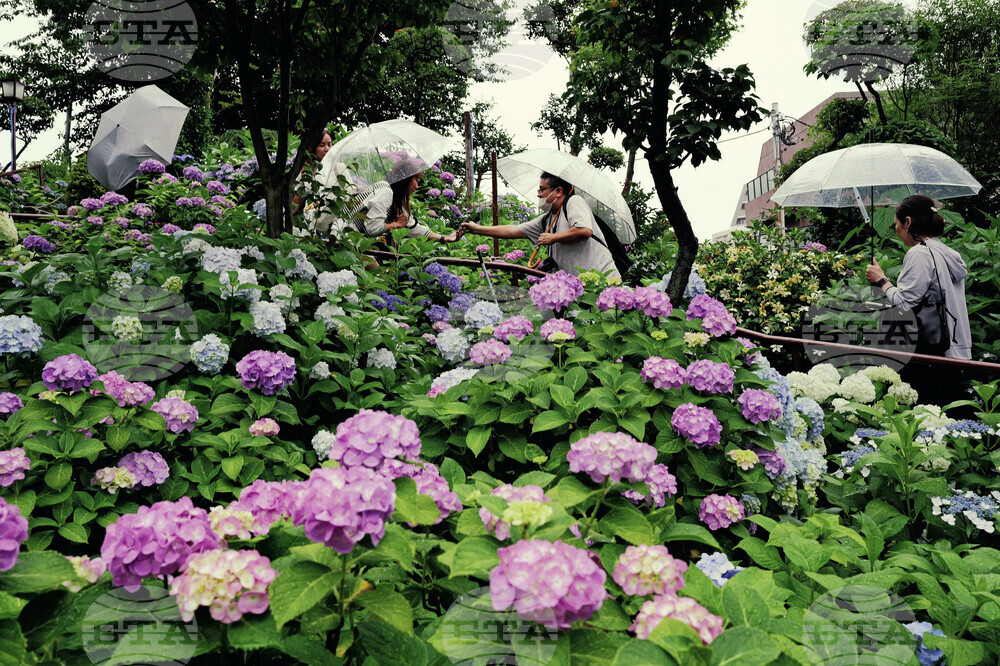Japan Daily Life