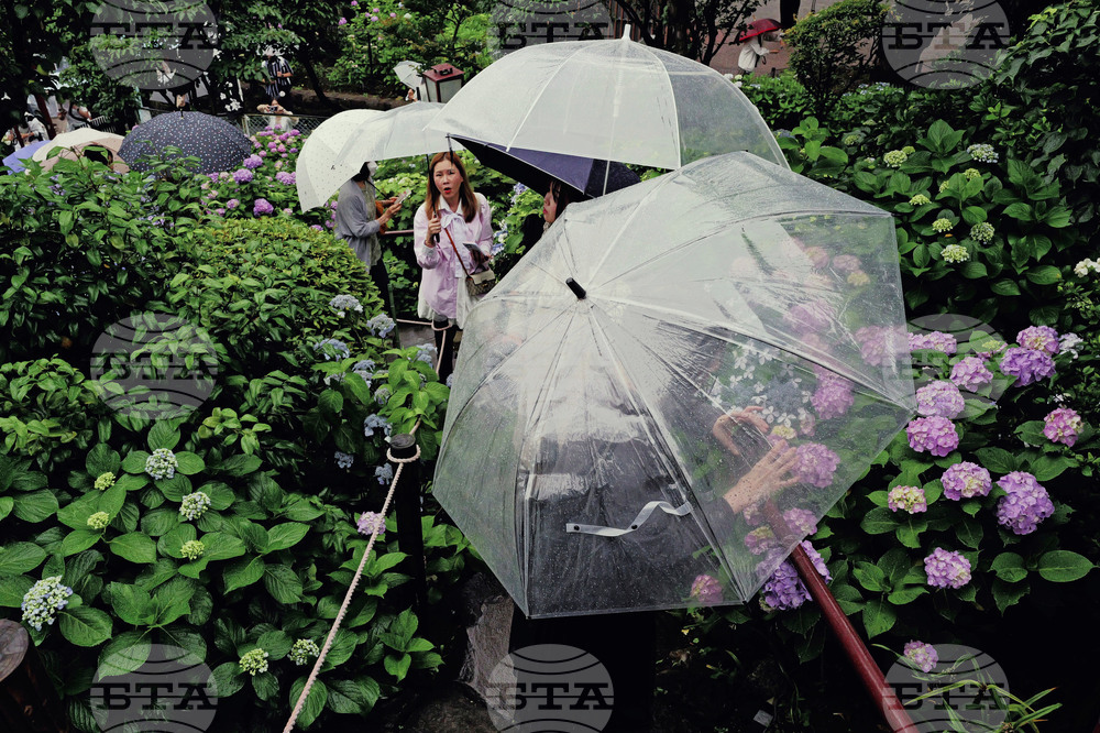 Japan Daily Life