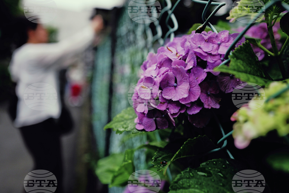 Japan Daily Life