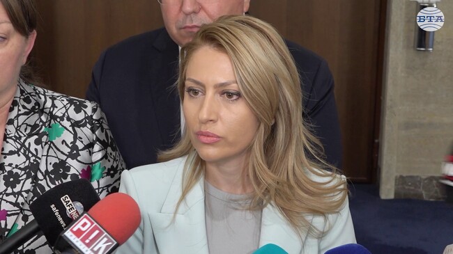 От ГЕРБ-СДС сме удовлетворени от определението на Конституционния съд, коментира Рая Назарян