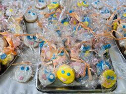 Видин - „Изкуството срещу агресията“ - благотворителен базар