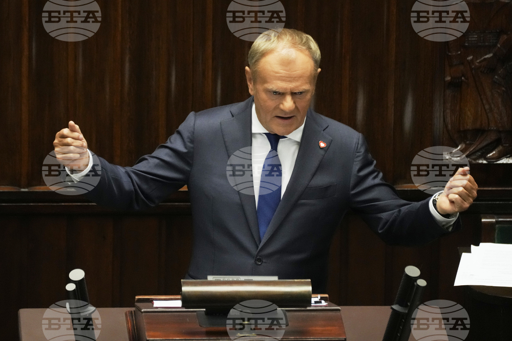 Poland Politics