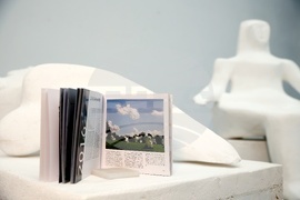 Книга-албум „Пластики и прочити“