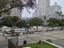 Immigration Raids Los Angeles