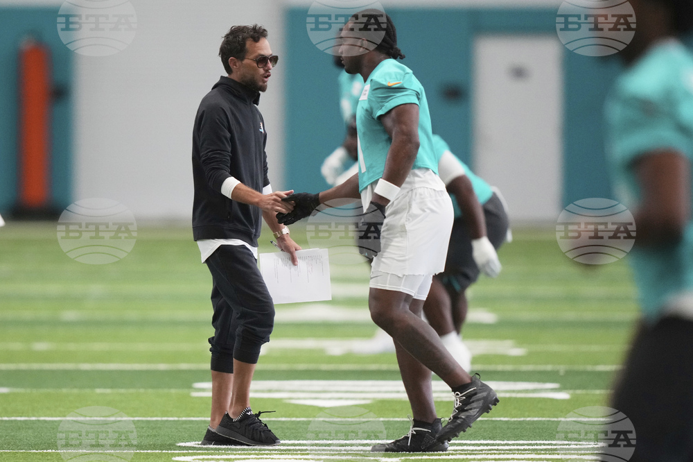 Dolphins Football