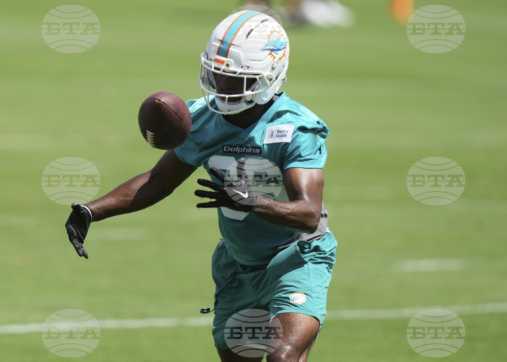 Dolphins Football