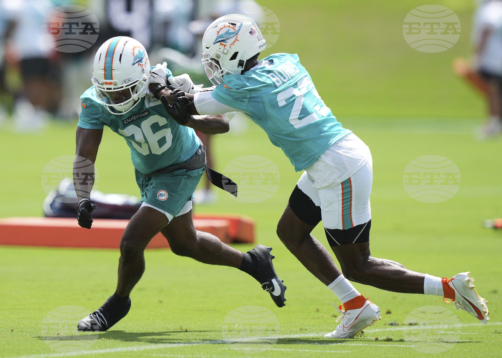 Dolphins Football