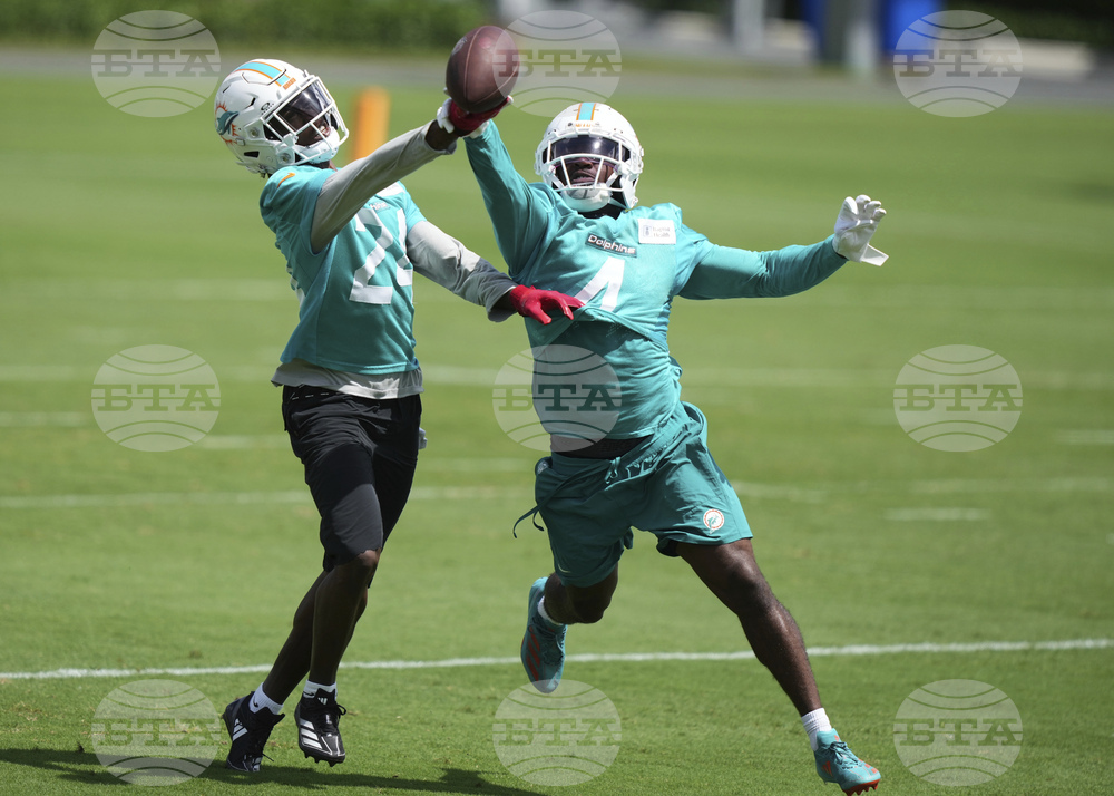 Dolphins Football