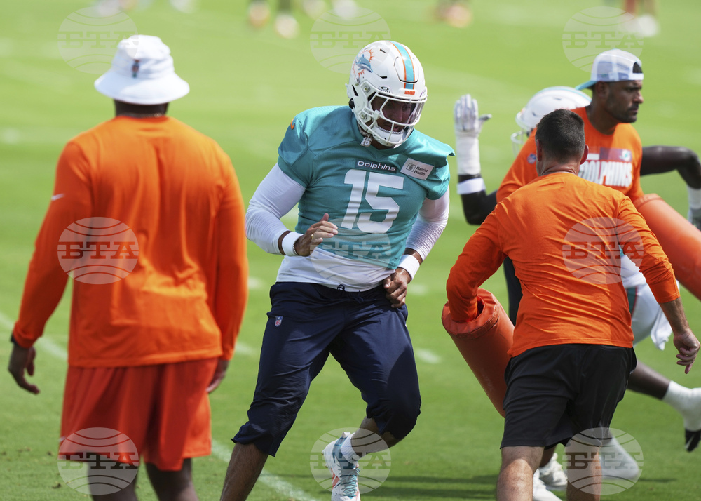 Dolphins Football