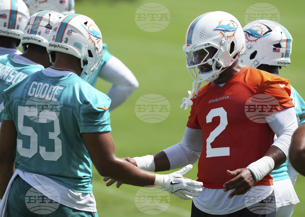 Dolphins Football
