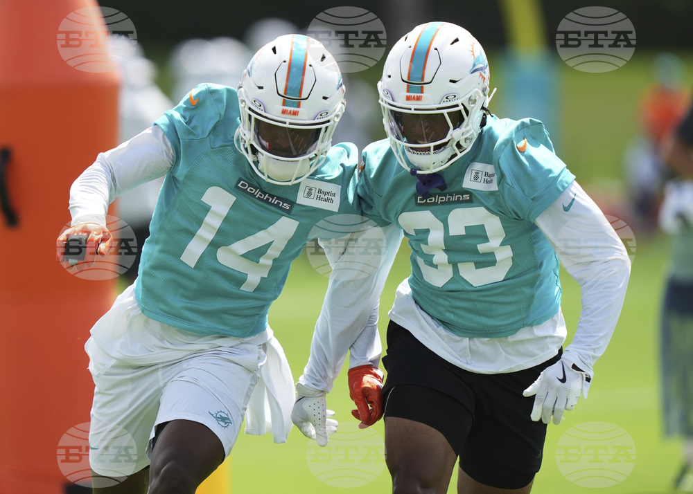 Dolphins Football