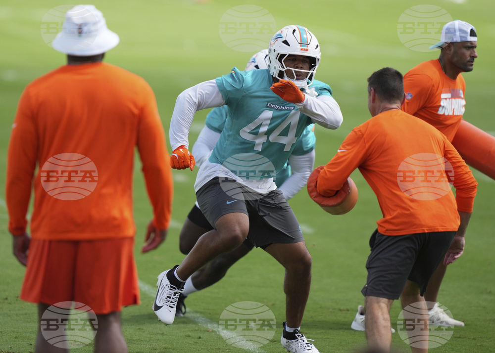 Dolphins Football