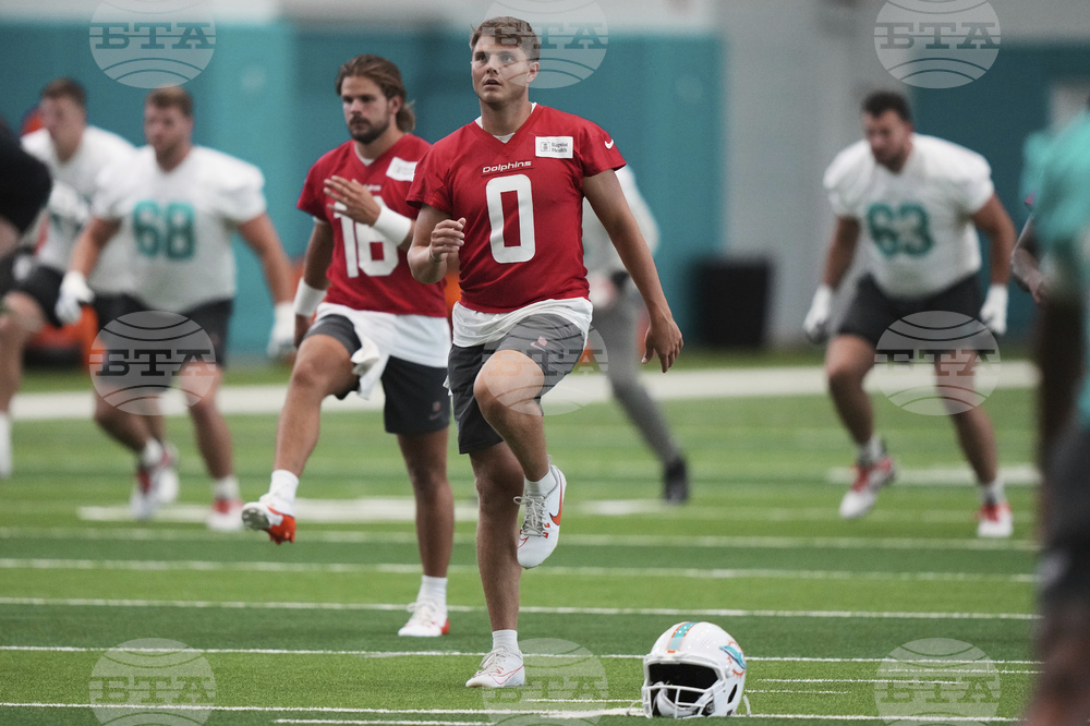 Dolphins Football