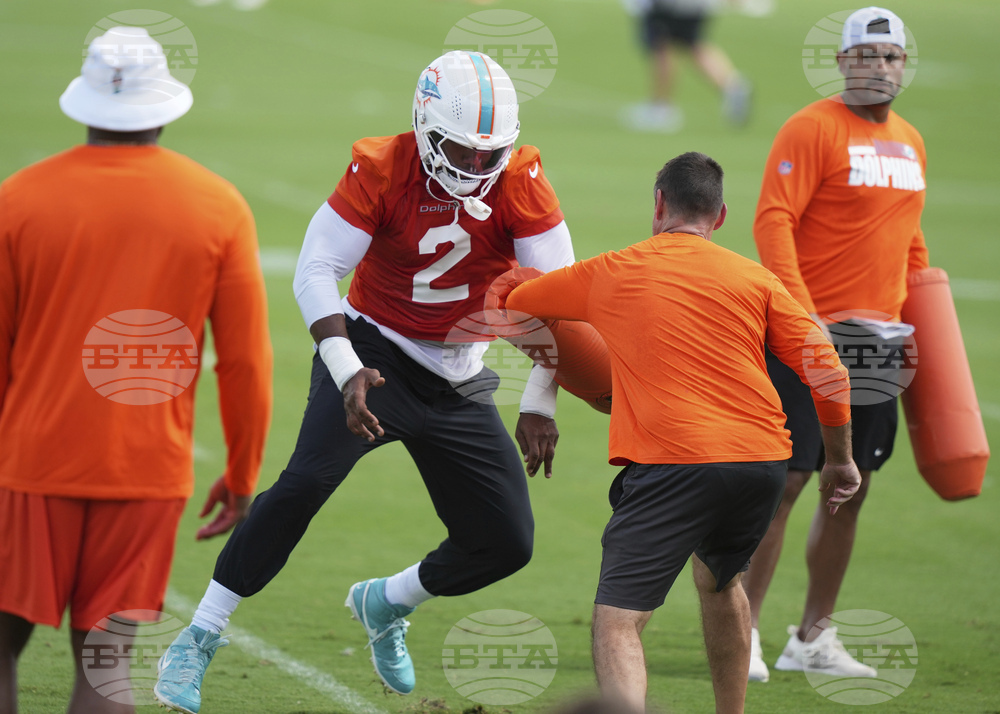 Dolphins Football