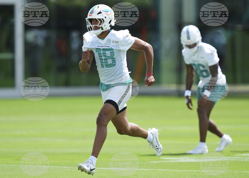Dolphins Football