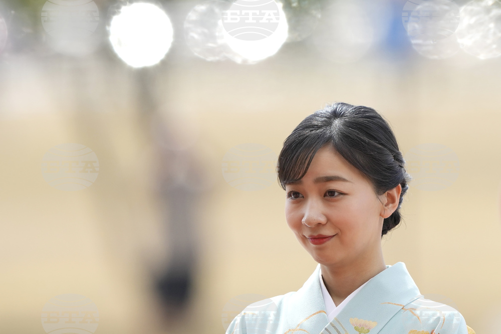 Brazil Japan Princess