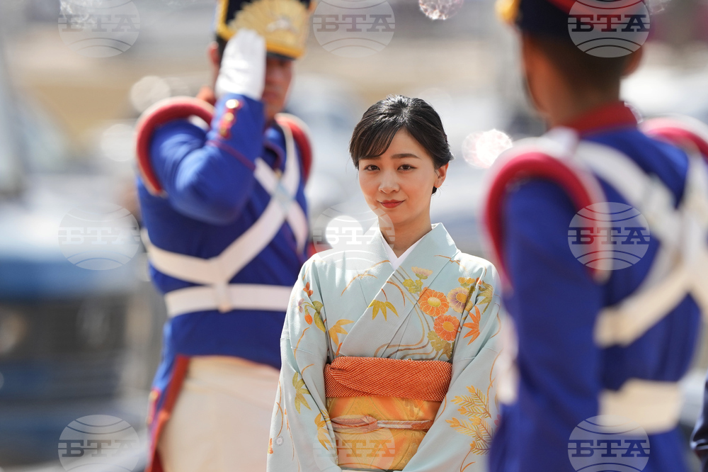 Brazil Japan Princess