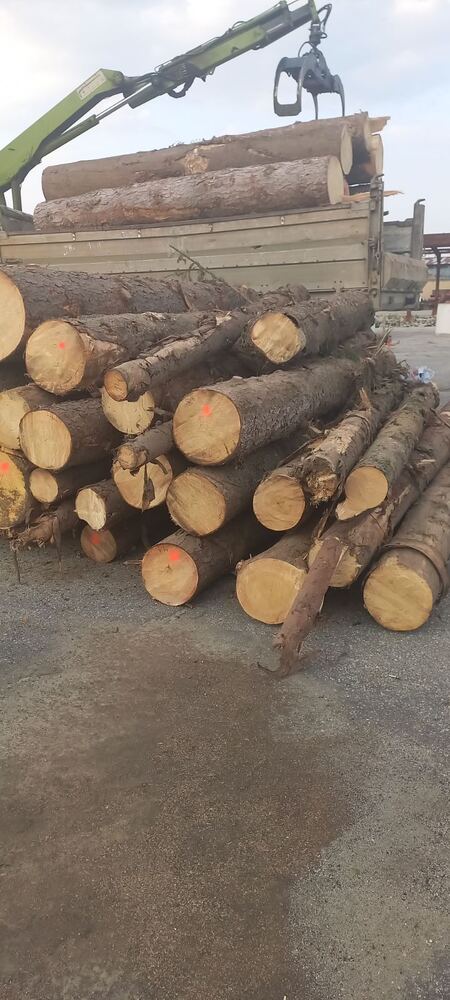 ИАГ: Горски инспектори от РДГ-София установяват незаконна строителна дървесина в Самоков