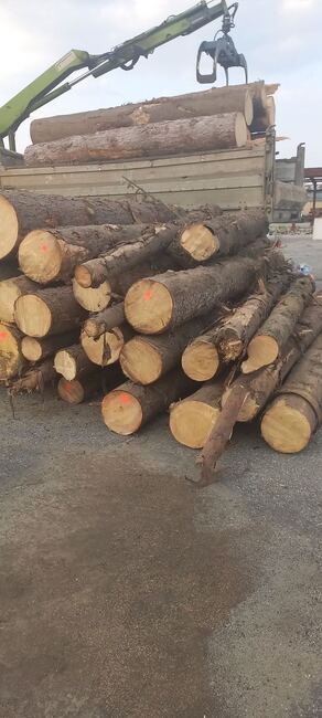 ИАГ: Горски инспектори от РДГ-София установяват незаконна строителна дървесина в Самоков