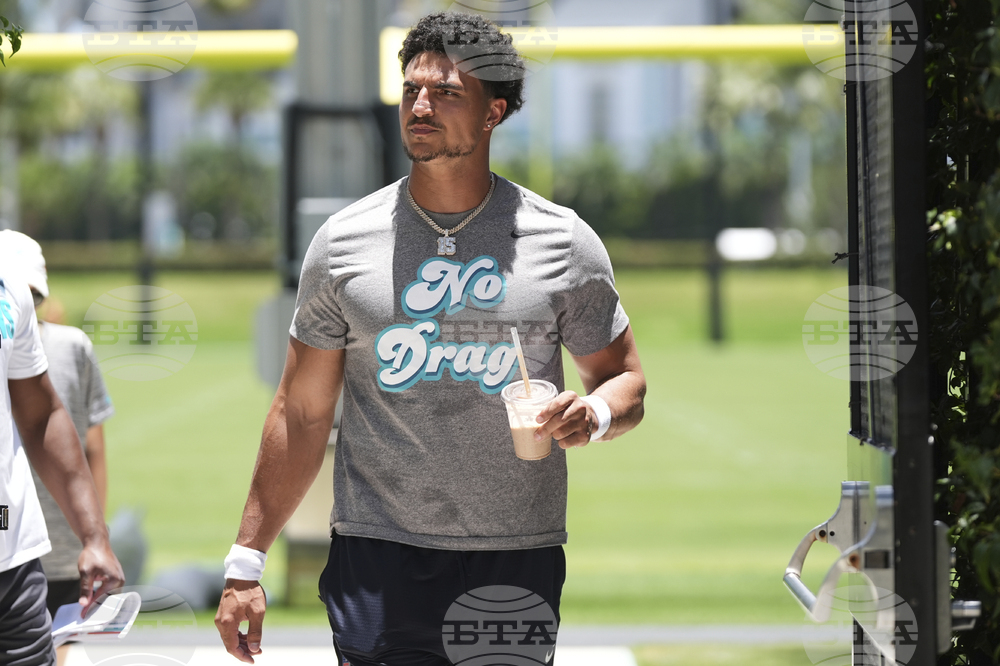 Dolphins Football