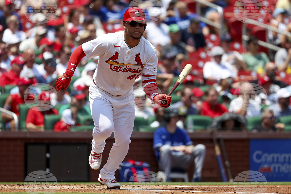 Blue Jays Cardinals Baseball