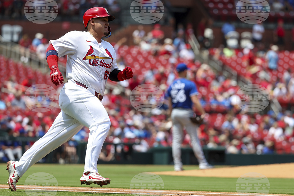 Blue Jays Cardinals Baseball